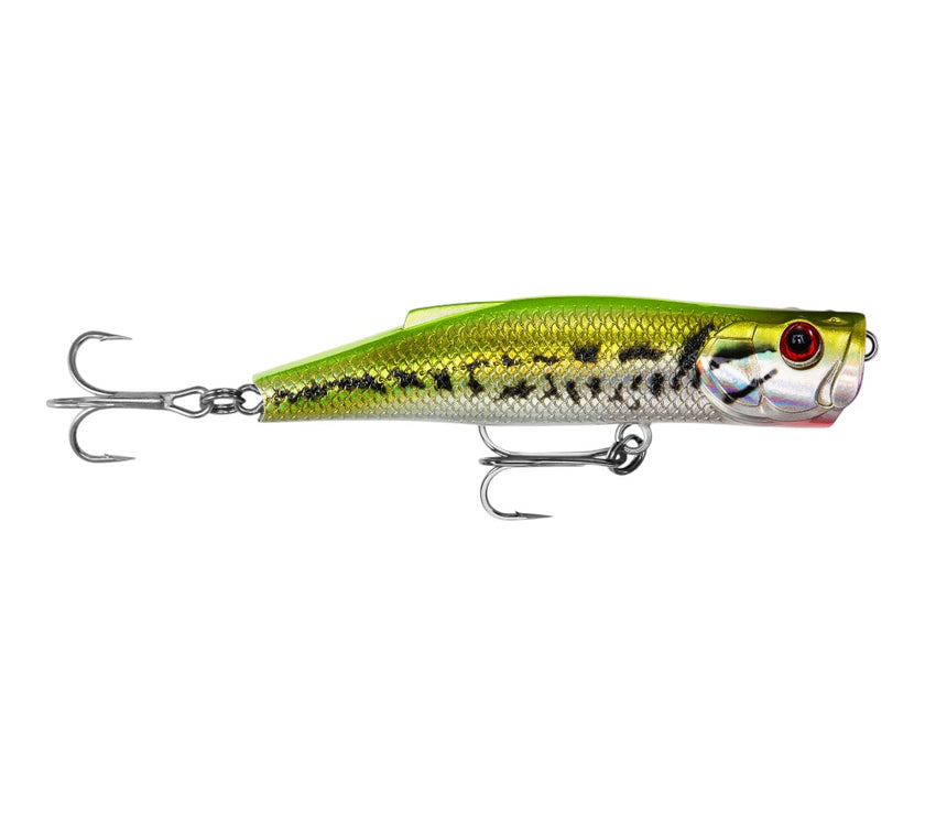 LongCast  Popper