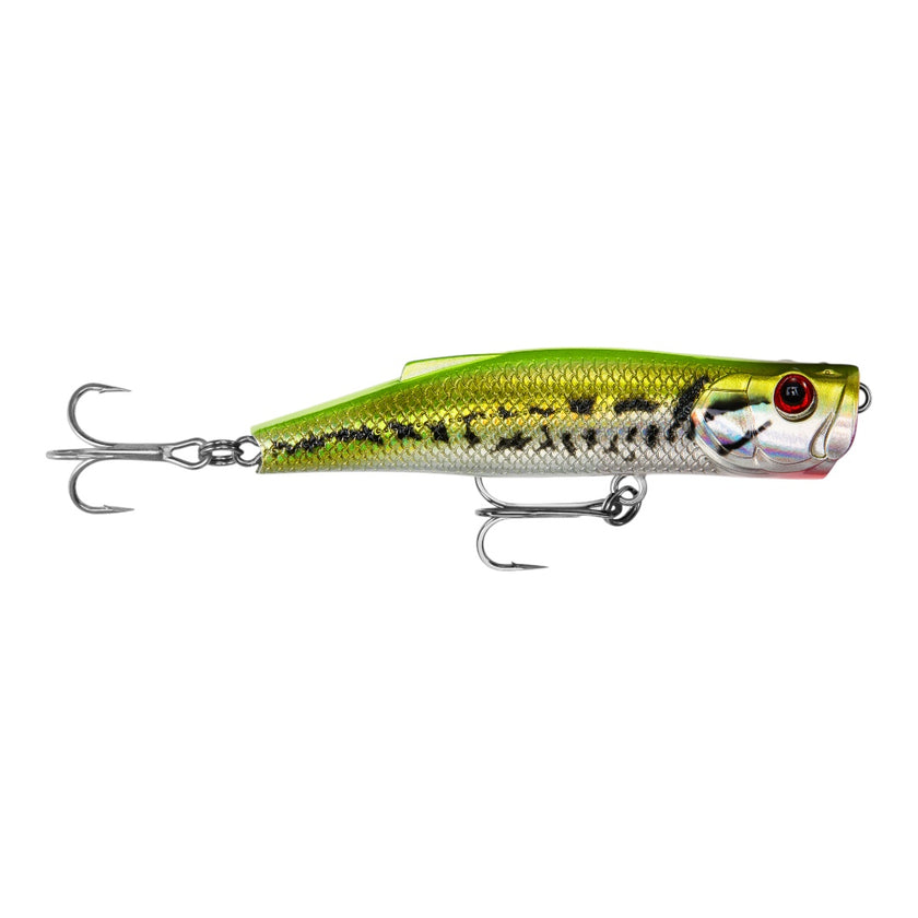 LongCast  Popper