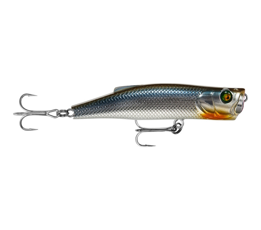 LongCast  Popper