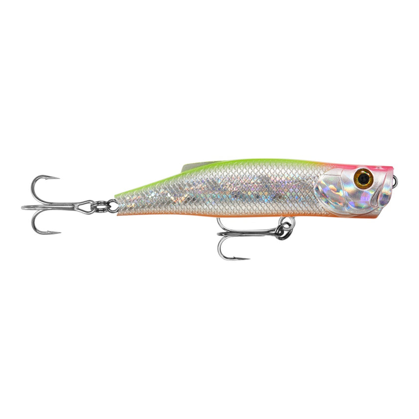 LongCast  Popper