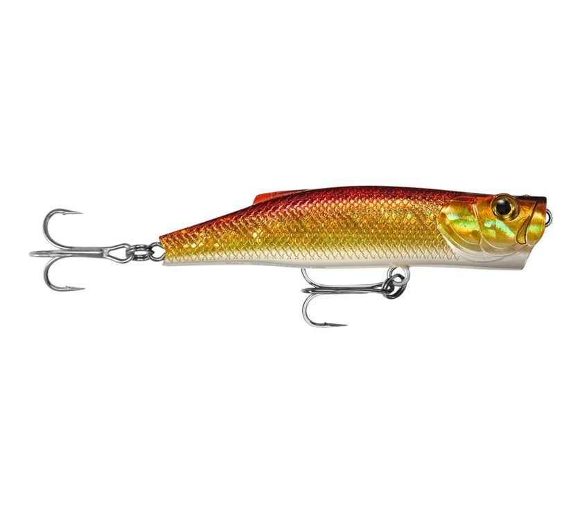 LongCast  Popper