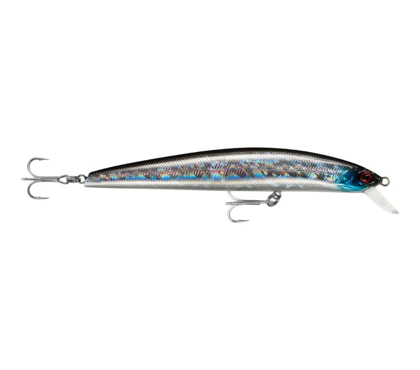 The Sx Minnow