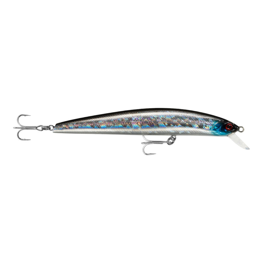 The Sx Minnow