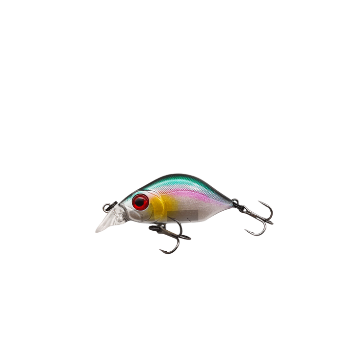 Mini hump Minnow